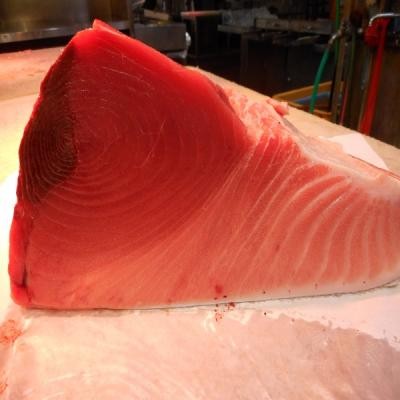 [..] [ сырой ] голубой тунец ..... . средний 2.5kg
