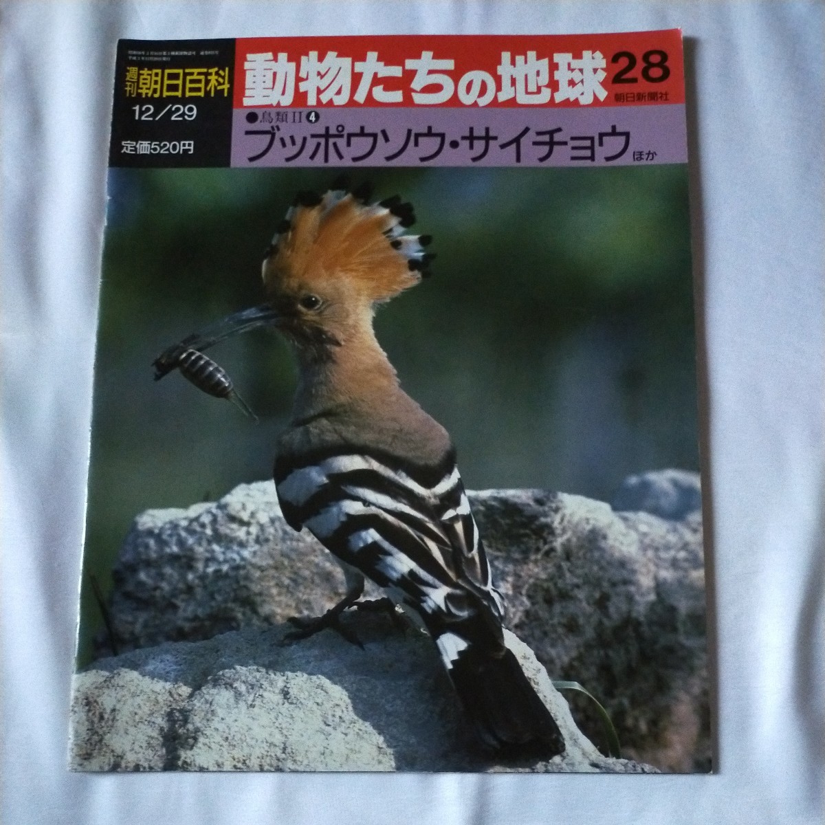 古本)週刊朝日百科 動物たちの地球 全144冊組 朝日新聞社 古本)週刊朝日百科 動物たちの地球 全144冊組 朝日新聞社