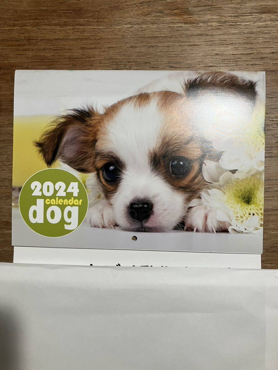 未使用　2024年　カレンダー 壁掛けカレンダー 犬 dog 令和6年　かわいい　癒し系　プードル　チワワ　パグ　テリア　ダックスフンド