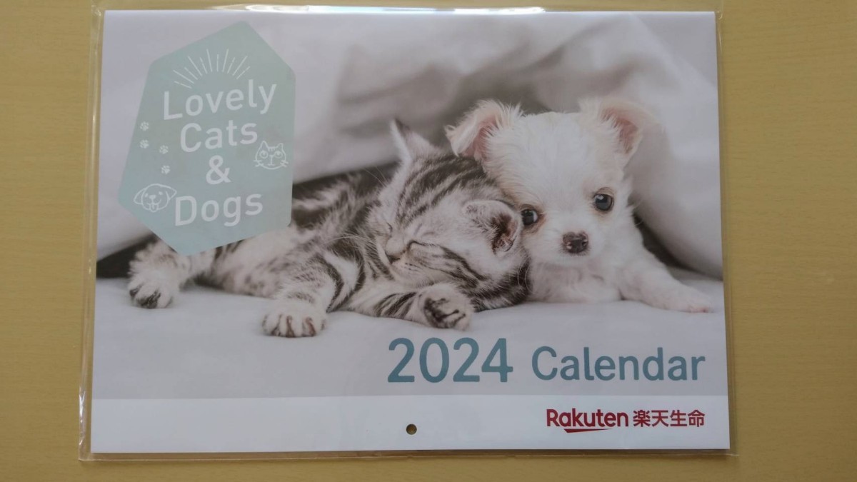 2024　カレンダー　楽天生命　　犬　猫　壁掛け　新品・未開封_画像1