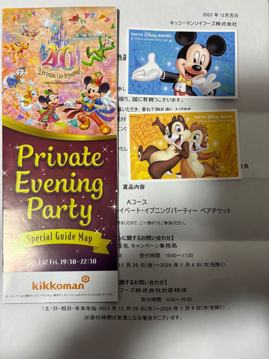東京ディズニーランドプライベートイブニングパーティチケットペア 貸切ディズニー|Yahoo!フリマ(旧PayPayフリマ)