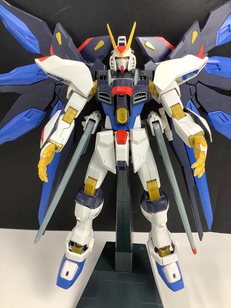 ガンプラ ストライクフリーダム 1/60 パーツ現状 完成品 組立済 ACBF ジャンク品_画像1