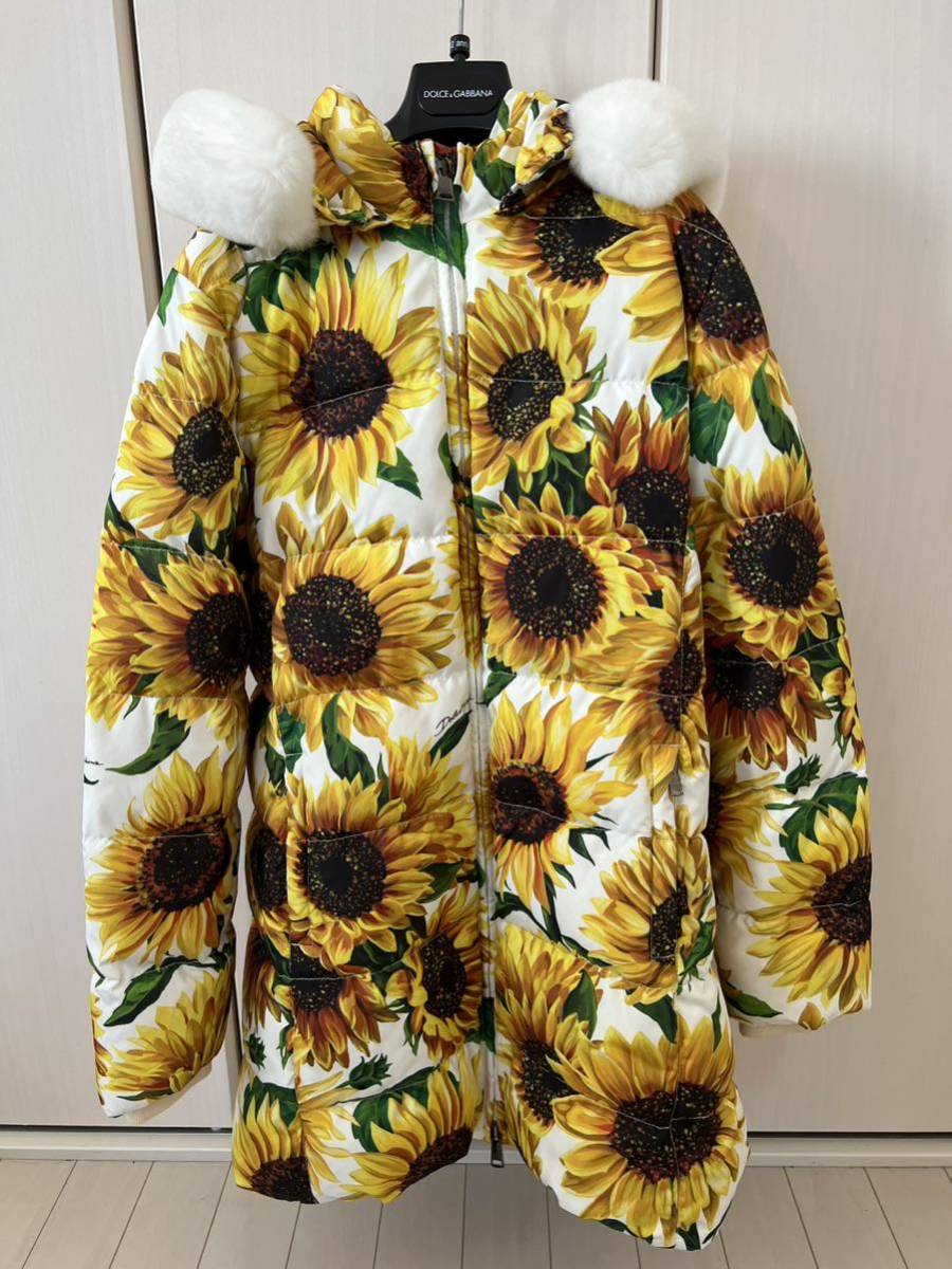 DOLCE&GABBANA Dolce and Gabbana down coat sunflower 12 -years old 11 -years old Italy made Mukou . regular shop buy 30 ten thousand 