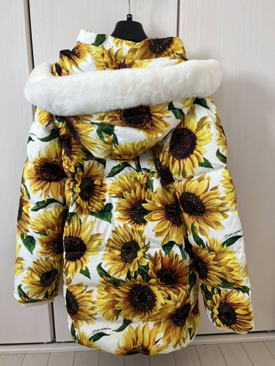 DOLCE&GABBANA Dolce and Gabbana down coat sunflower 12 -years old 11 -years old Italy made Mukou . regular shop buy 30 ten thousand 