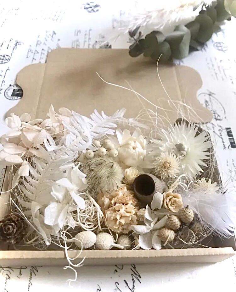  белый цветок орехи * сухой цветок материалы для цветочной композиции набор комплект 
