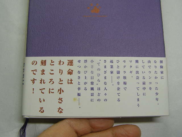 塩野米松著 たぬきの掌 単行本 初版帯付良品 小学館刊1998年1刷 定価1500円257頁 経年黄ばみ少有 単行2冊程送188 同梱包大歓迎_画像3