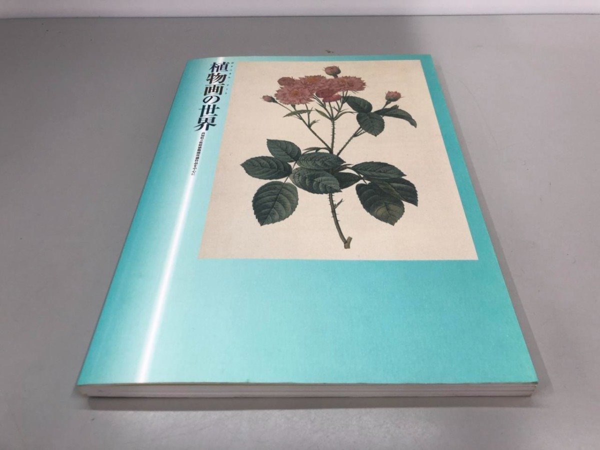 ★　【図録 植物画の世界 ボタニカルアート 高知県立牧野植物園所蔵作品を中心に 2005 群馬県立館…】161-02312_画像1