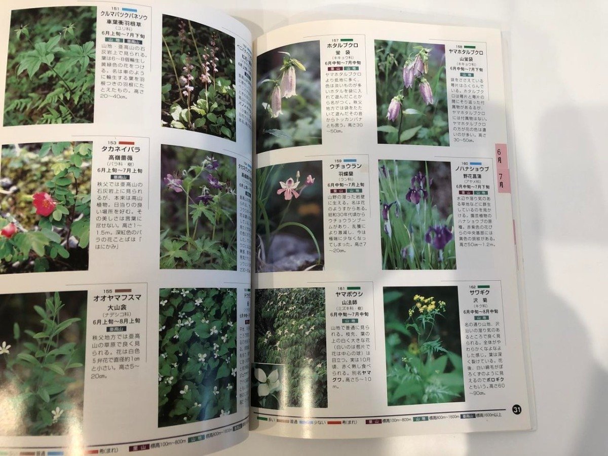 ★　【秩父でみられる山野の花 ハイキング・登山必携本 330種 清水孝資 Chichibu books 2005年】141-02312_画像4