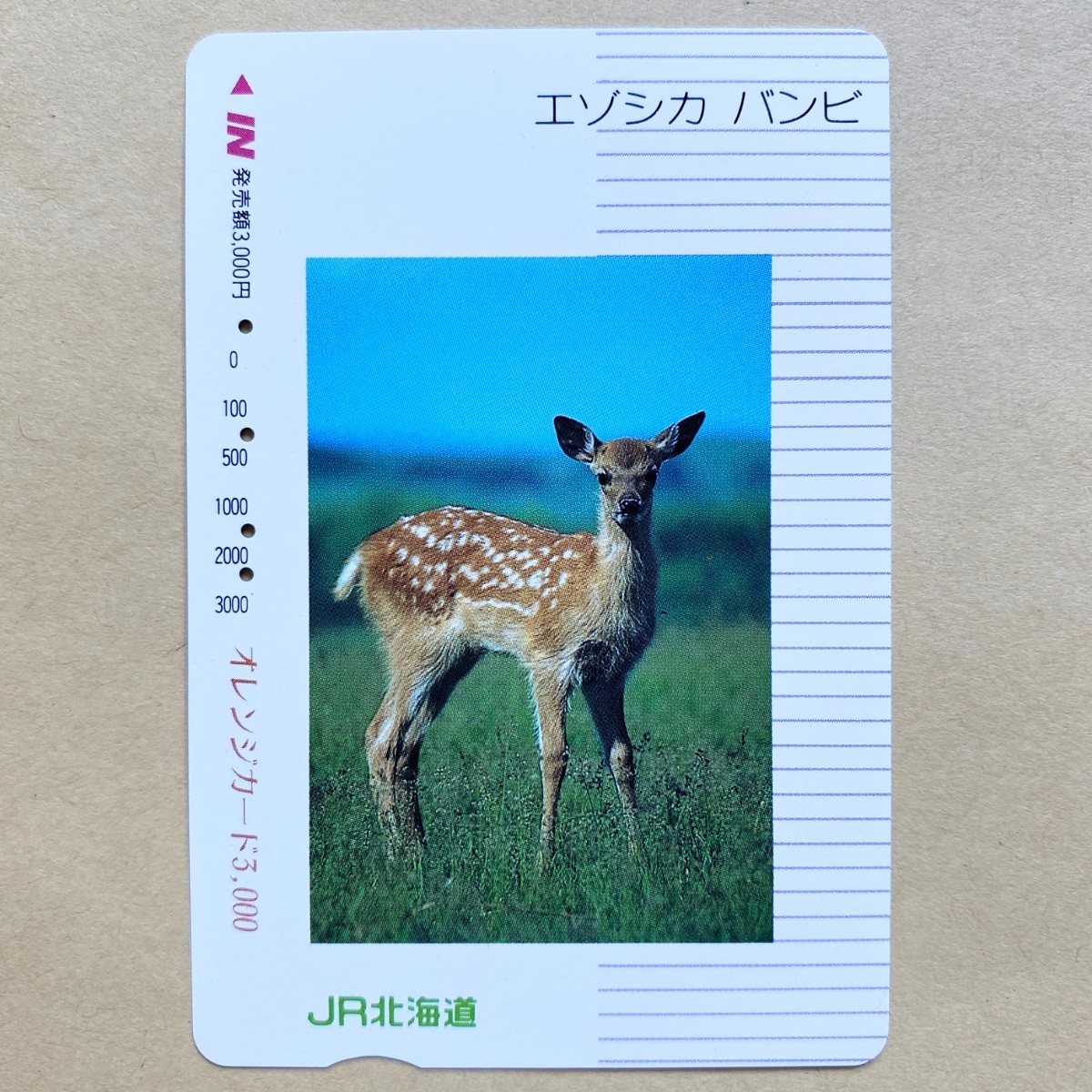 【使用済】 オレンジカード JR北海道 エゾシカ バンビ_画像1