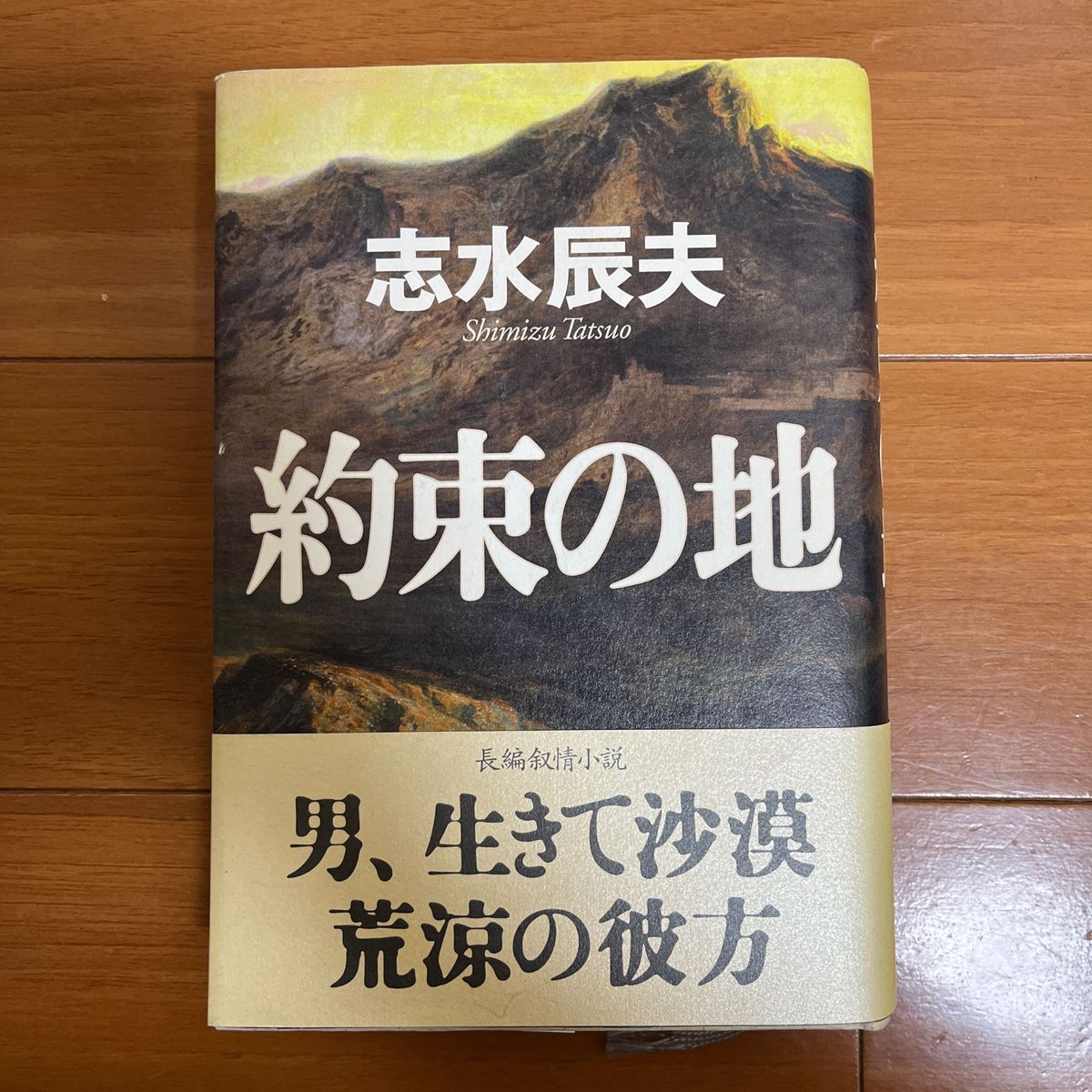 約束の地／志水辰夫 (著者)