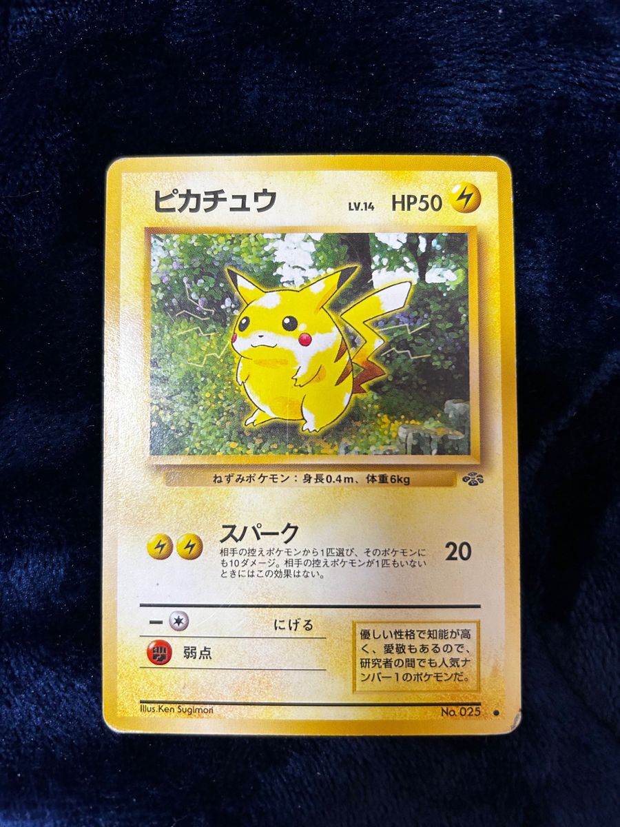 ピカチュウ ライチュウ3枚セット 旧裏 ポケモンカード|Yahoo ピカチュウ ライチュウ3枚セット 旧裏 ポケモンカード|Yahoo