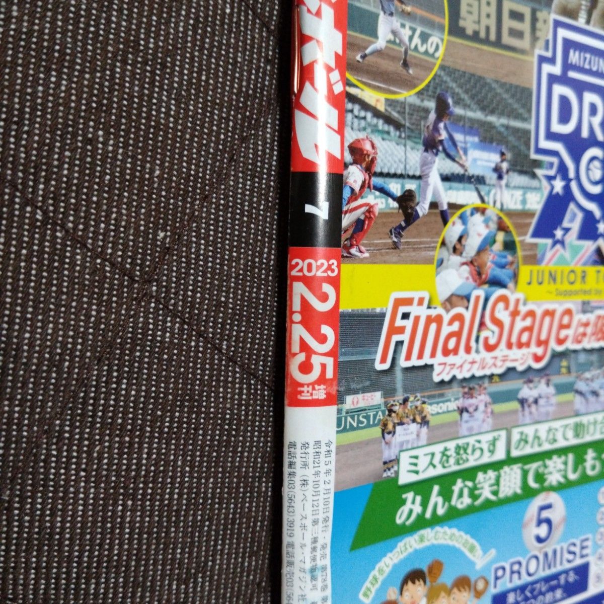 2023プロ野球選手名鑑号 週刊ベースボール