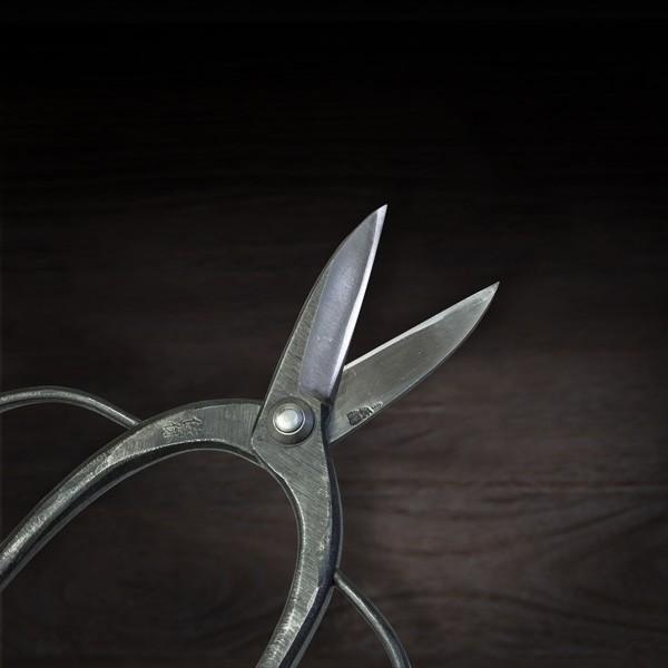  plant . scissors tongs . guarantee garden . type blue paper steel 2 size 5 minute blade garden tree bonsai 