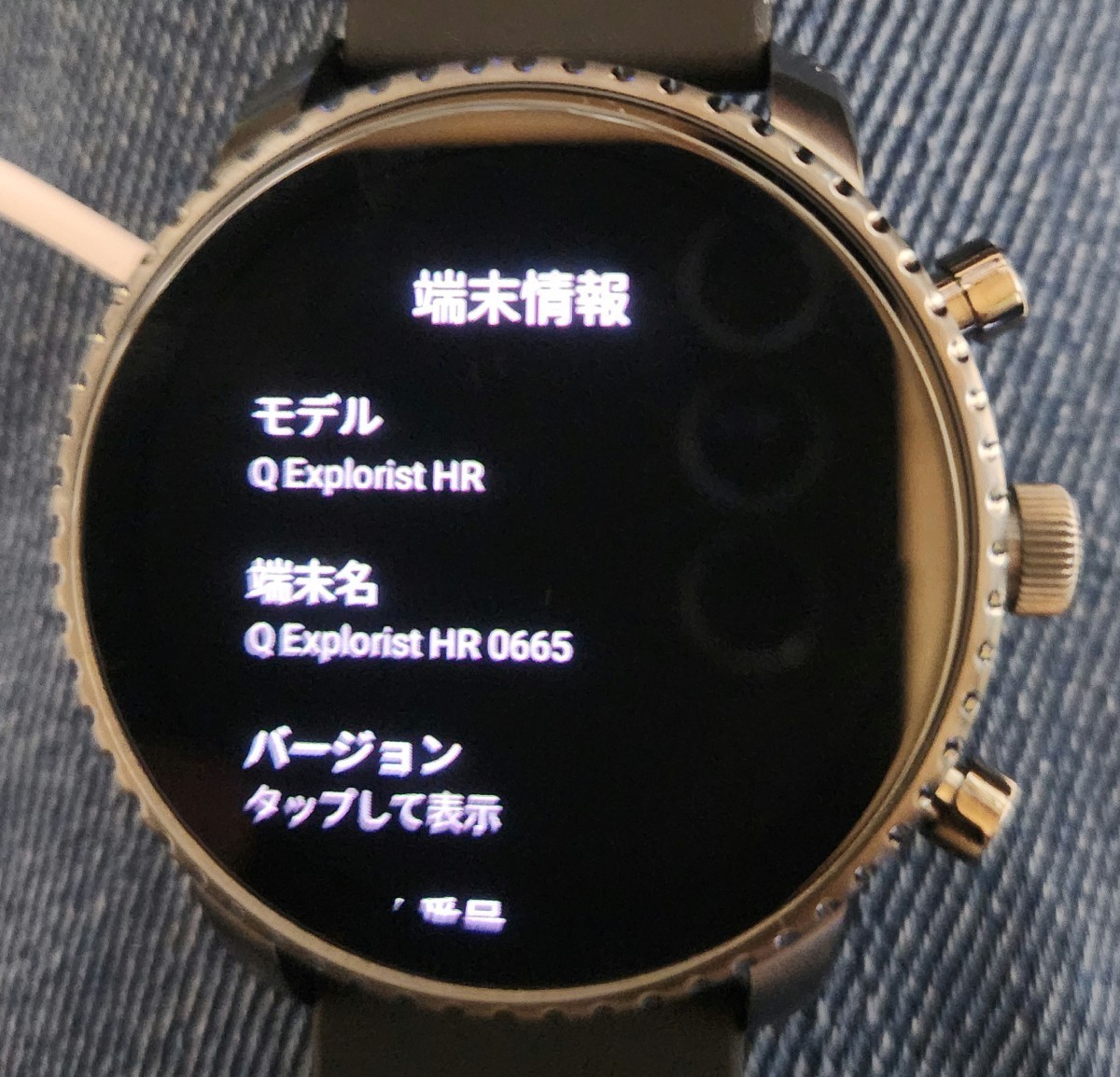 スマートウォッチ Fossil 腕時計 Watch GPS　脈拍数_画像6