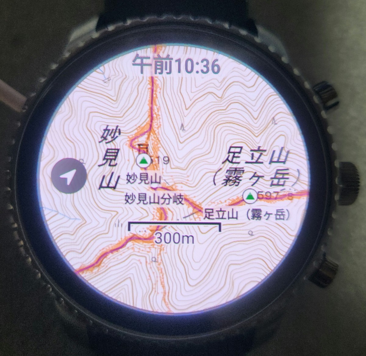 スマートウォッチ Fossil 腕時計 Watch GPS　脈拍数_画像9