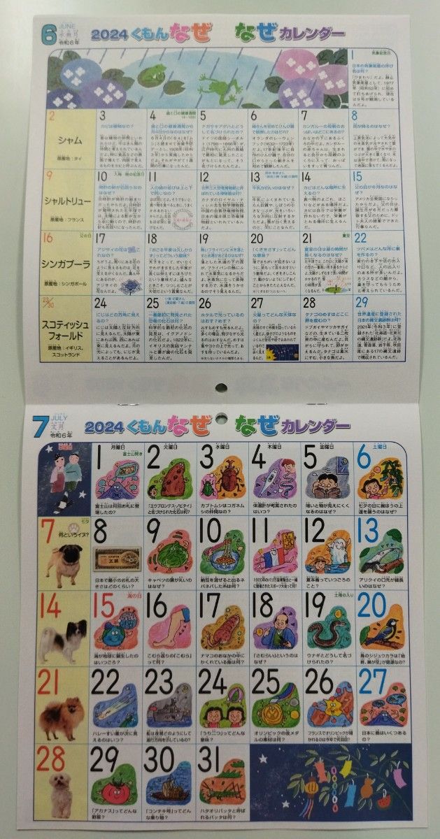 Amazon.co.jp: 公文 くもん なぜなぜカレンダー 2024 令和6年 二