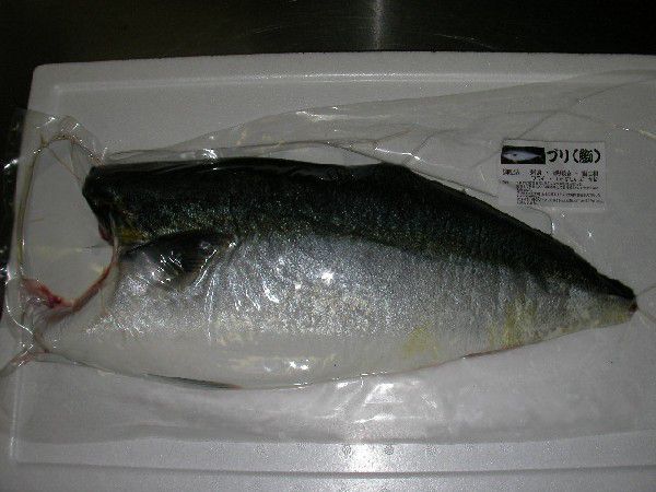  yellowtail .4-5kg.. tighten Ehime . peace sea production free shipping Hokkaido / Okinawa / Tohoku is postage separately . peace sea. . wholesale store 