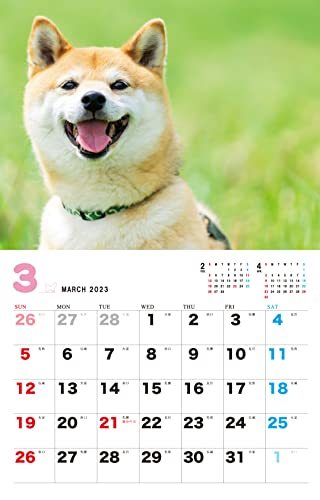 しばと暮らせば♪柴犬カレンダー 2023_画像7