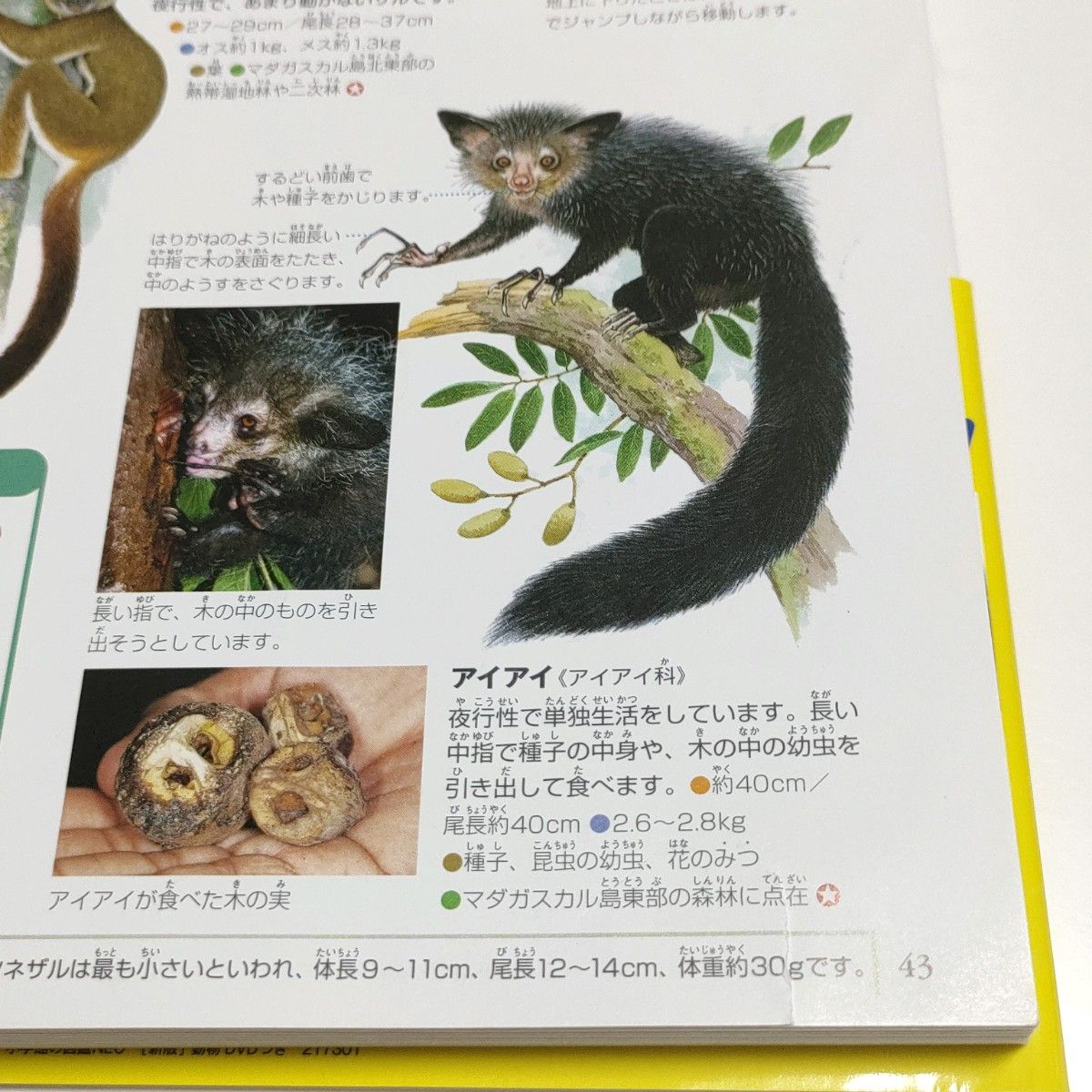 小学館の図鑑NEO新版動物 DVD付き 帯付き ドラえもん 芦田愛菜 小学館の図鑑NEO新版動物 DVD付き 帯付き ドラえもん 芦田愛菜