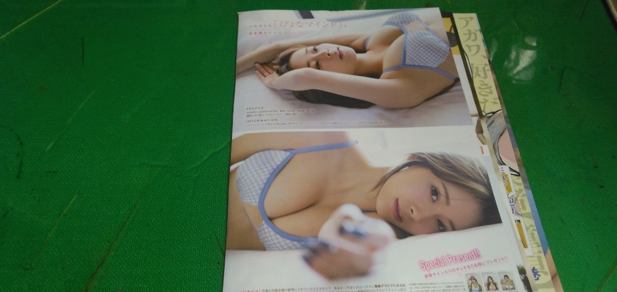 桃月なしこ　高鶴桃羽　ぴょな　グラビア雑誌切り抜き15P_画像9