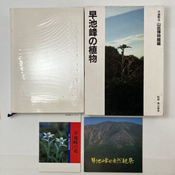 「早池峰の植物」大迫町立山岳博物館編 監修 奥山春季 1983年　定価13000円 「早池峰の花」おまけ付き　野草 野花 図鑑 1ほy_画像1