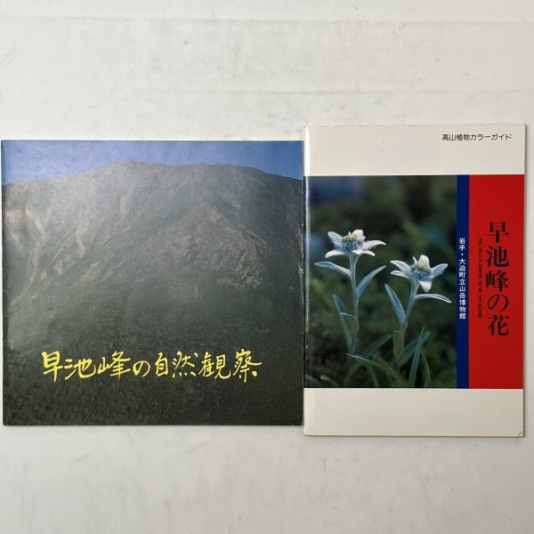 「早池峰の植物」大迫町立山岳博物館編 監修 奥山春季 1983年　定価13000円 「早池峰の花」おまけ付き　野草 野花 図鑑 1ほy_画像9