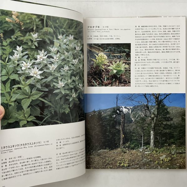 「早池峰の植物」大迫町立山岳博物館編 監修 奥山春季 1983年　定価13000円 「早池峰の花」おまけ付き　野草 野花 図鑑 1ほy_画像5