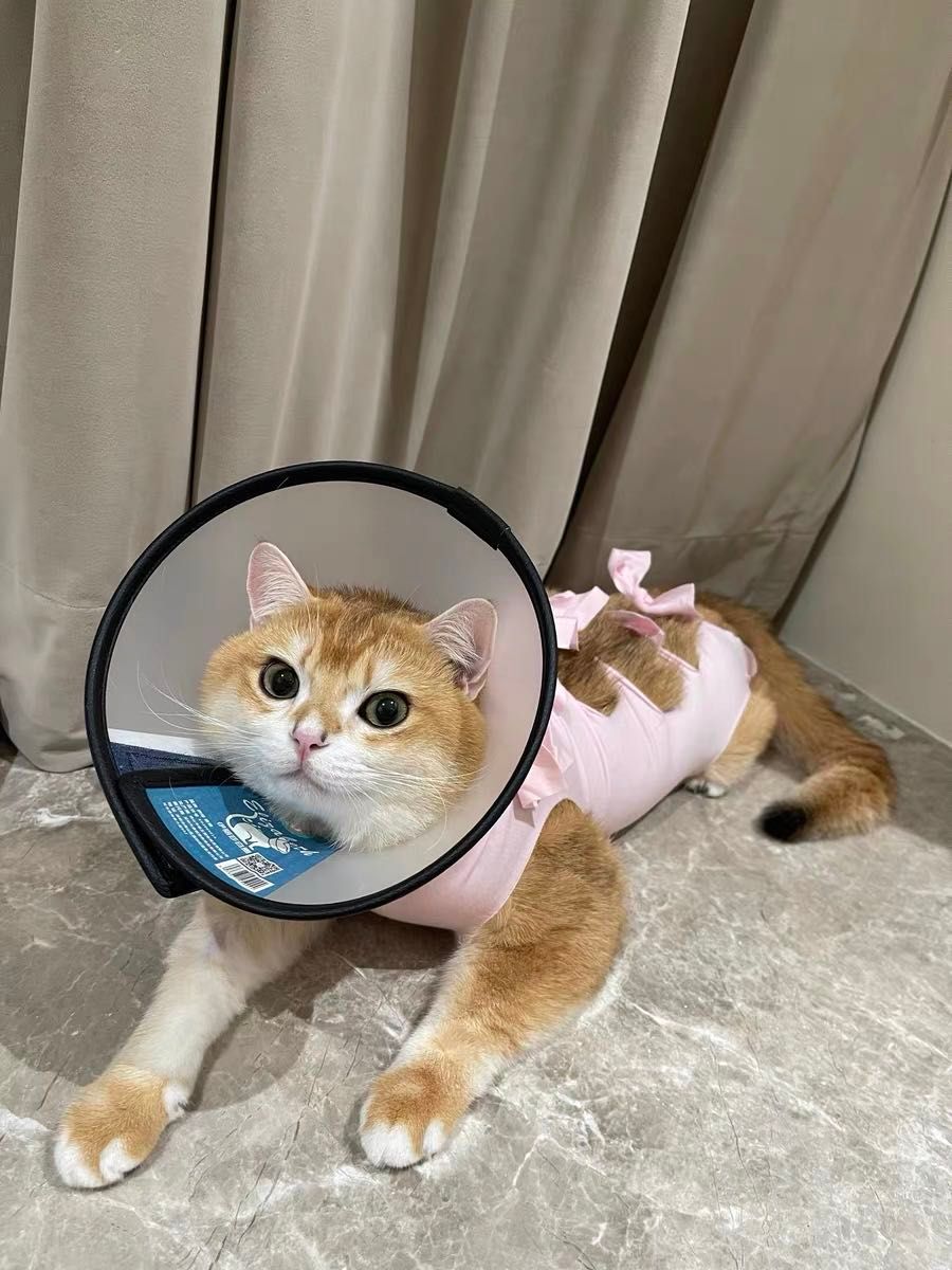 【M ピンク】猫犬　ねこ　術後服　エリザベスウェア　ペット　傷舐め防止 避妊手術：