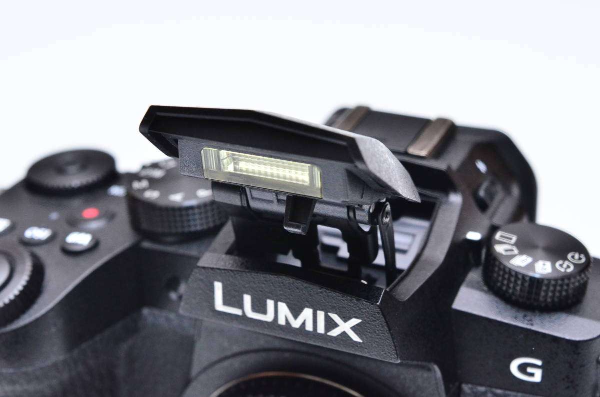  Panasonic LUMIX DC-G99-K Body 美品 シャッター回数少 センサー清掃済_画像6
