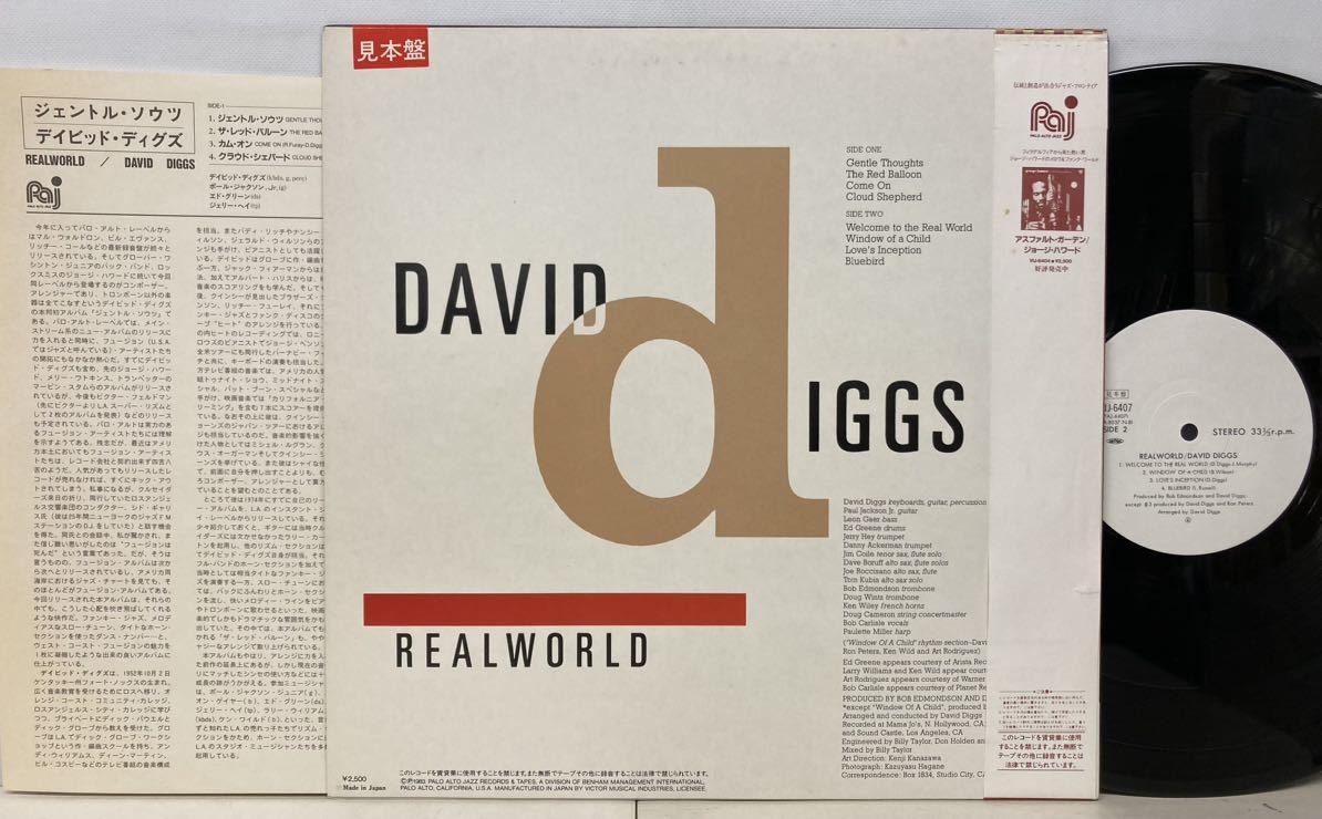 JAZZ/DAVID DIGGS (Key) デイビッド・ディグス/ REALWORLD (LP) 国内盤 白ラベル・プロモ/AOR (g432)_画像3
