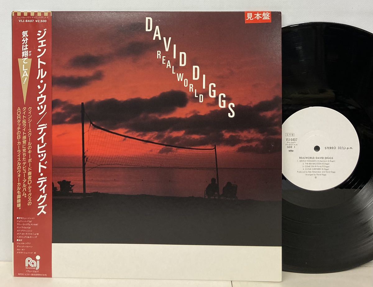 JAZZ/DAVID DIGGS (Key) デイビッド・ディグス/ REALWORLD (LP) 国内盤 白ラベル・プロモ/AOR (g432)_画像1