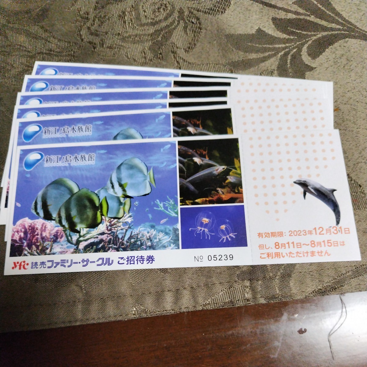 新江の島水族館無料チケット_画像1