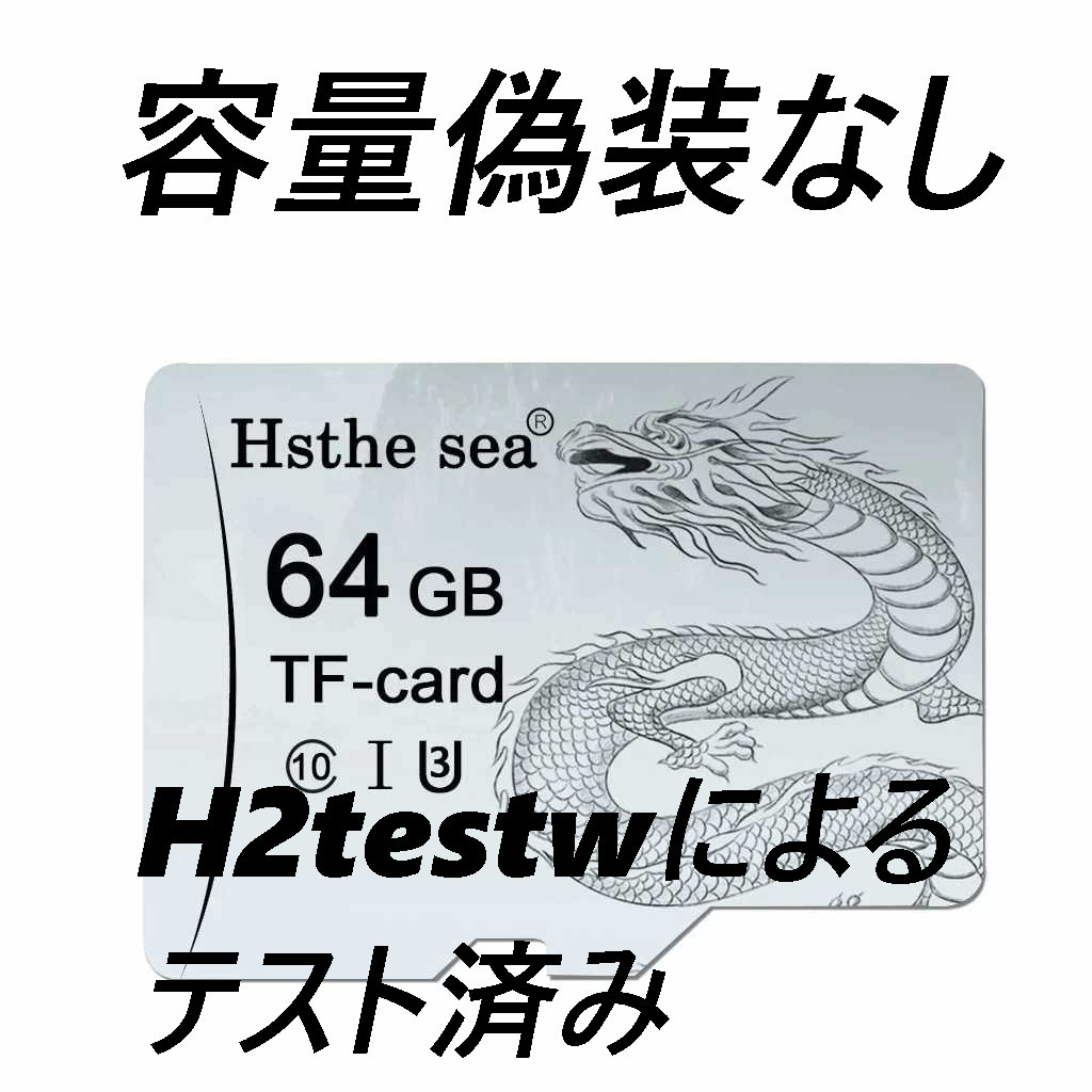 マイクロSDカード 64GB Hethe sea グレー ドラゴン_画像1
