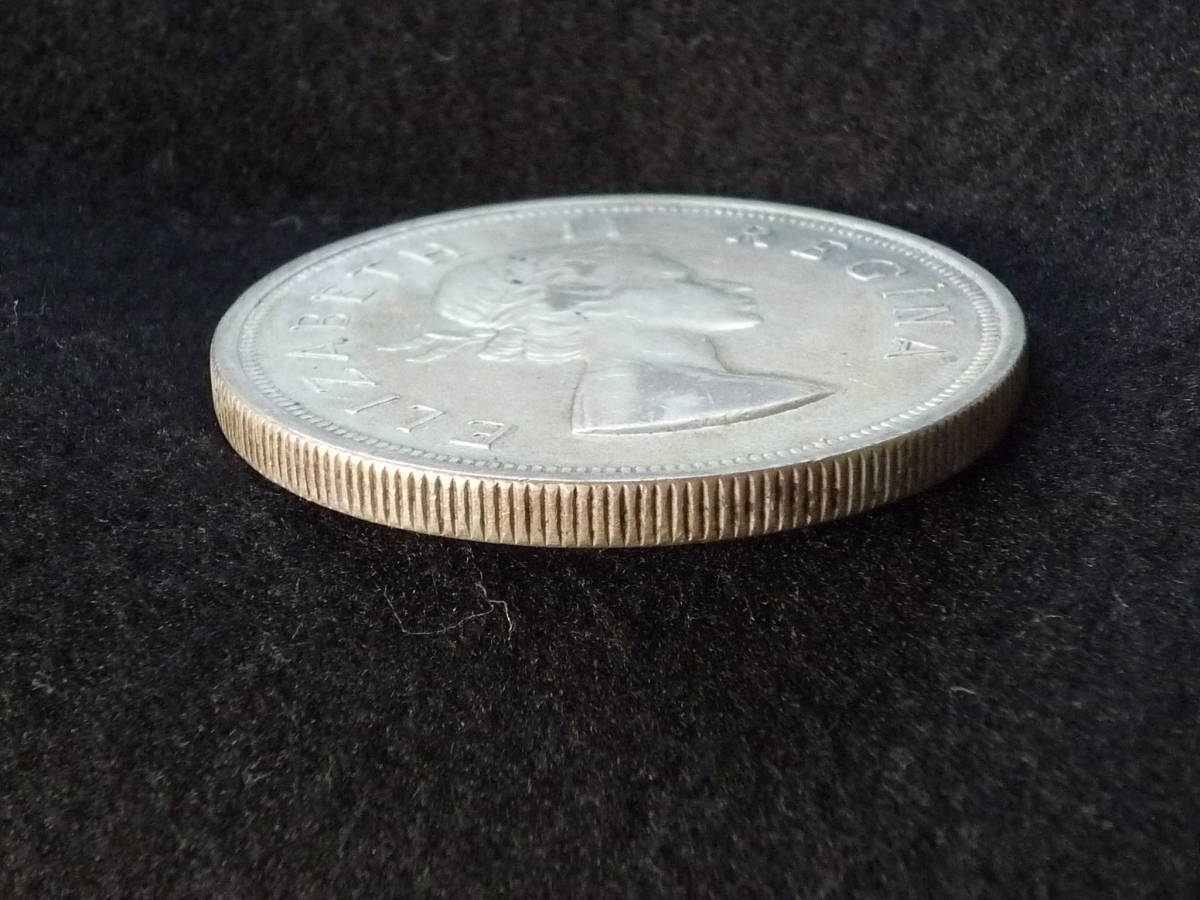 ☆南アフリカ　５シリング　１９５３年　銀貨　未使用☆_画像3