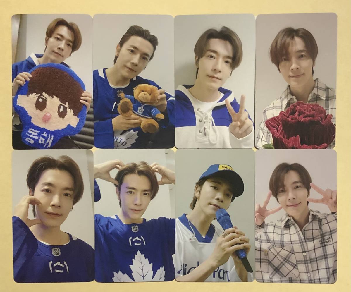 SUPER JUNIOR SJ D&E ドンヘ DONGHAE ウネ DELIGHT PARTY FAN CON tour IN TOKYO ツアー  グッズ MD トレカ 8種コンプセット