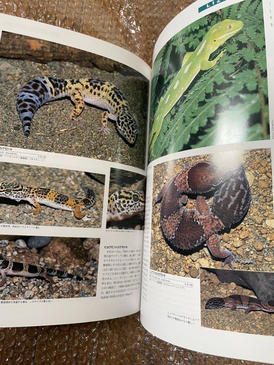 (新品同様美品) 爬虫類・両生類800種図鑑 初版 監修:千石正一 出版社ピーシーズ_画像3