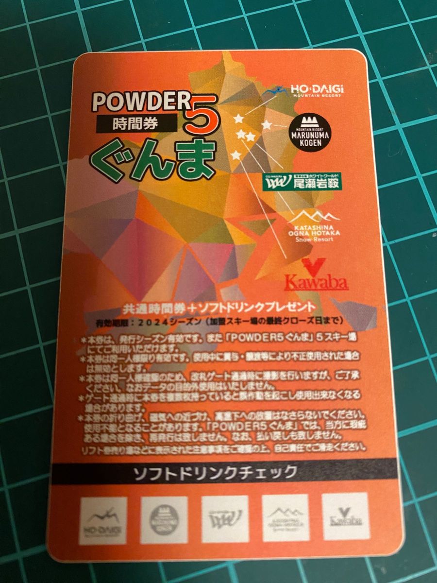 POWDER5ぐんま 10時間券 2枚 値下げしました - スキー場