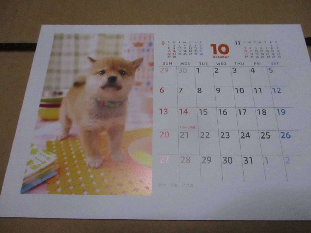 2024カレンダー　DOG&ＣＡＴ　かわいい子いぬ・子ねこ 　●卓上カレンダー 住友生命 　非売品_画像6