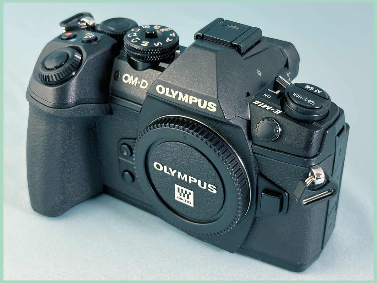☆　OLYMPUS　OM-D E-M1　Mark　Ⅱ 状態良好　元箱あり　サービス品：　６４GB　SDカード、　無線レリーズ、有線レリーズ　　付き_画像2