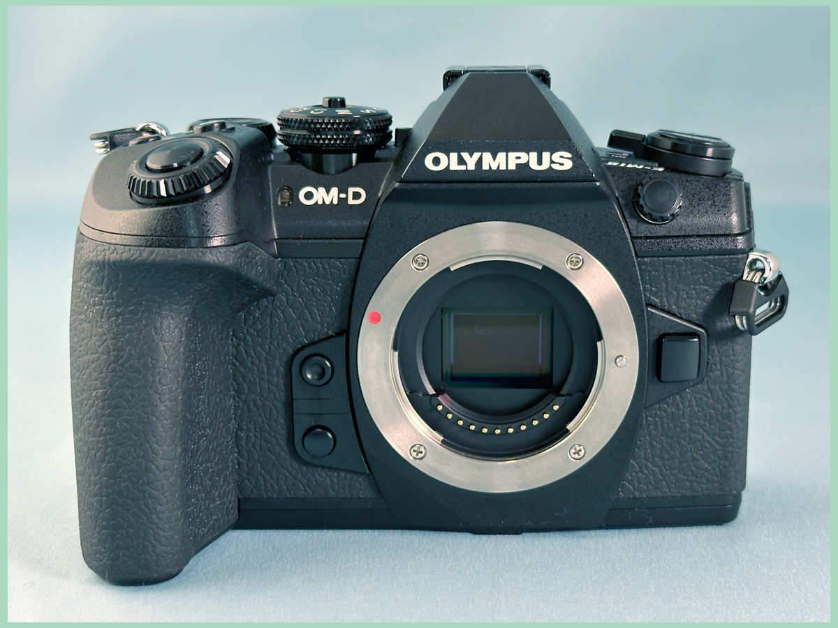 ☆　OLYMPUS　OM-D E-M1　Mark　Ⅱ 状態良好　元箱あり　サービス品：　６４GB　SDカード、　無線レリーズ、有線レリーズ　　付き_画像3