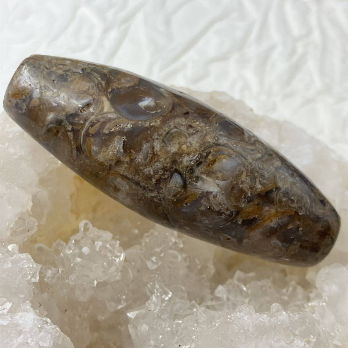 法螺天珠 第一代天珠 天然貝化石 45.1*15.6mm_画像4