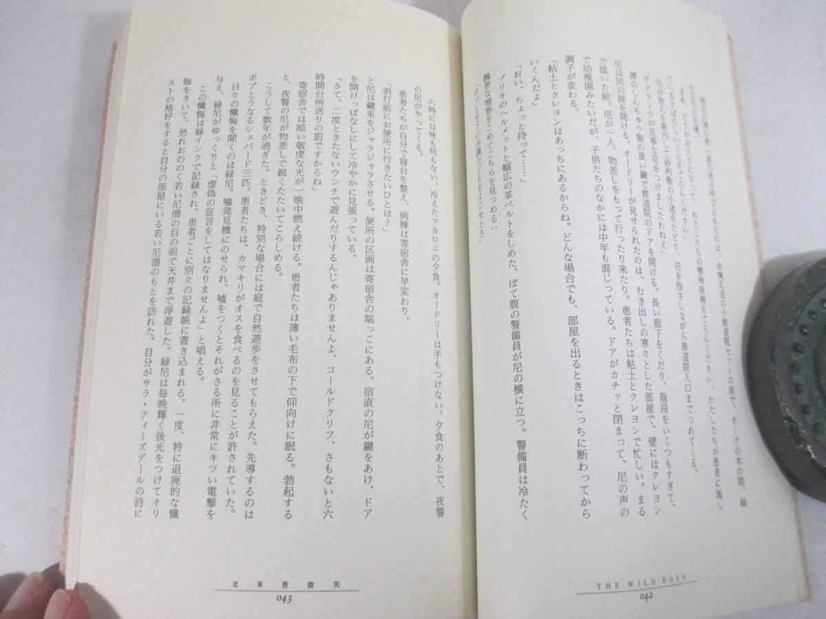 ワイルド・ボーイズ　猛者　死者の書　バロウズ著　山形浩生訳　１９９０年　初版カバ帯　_画像3