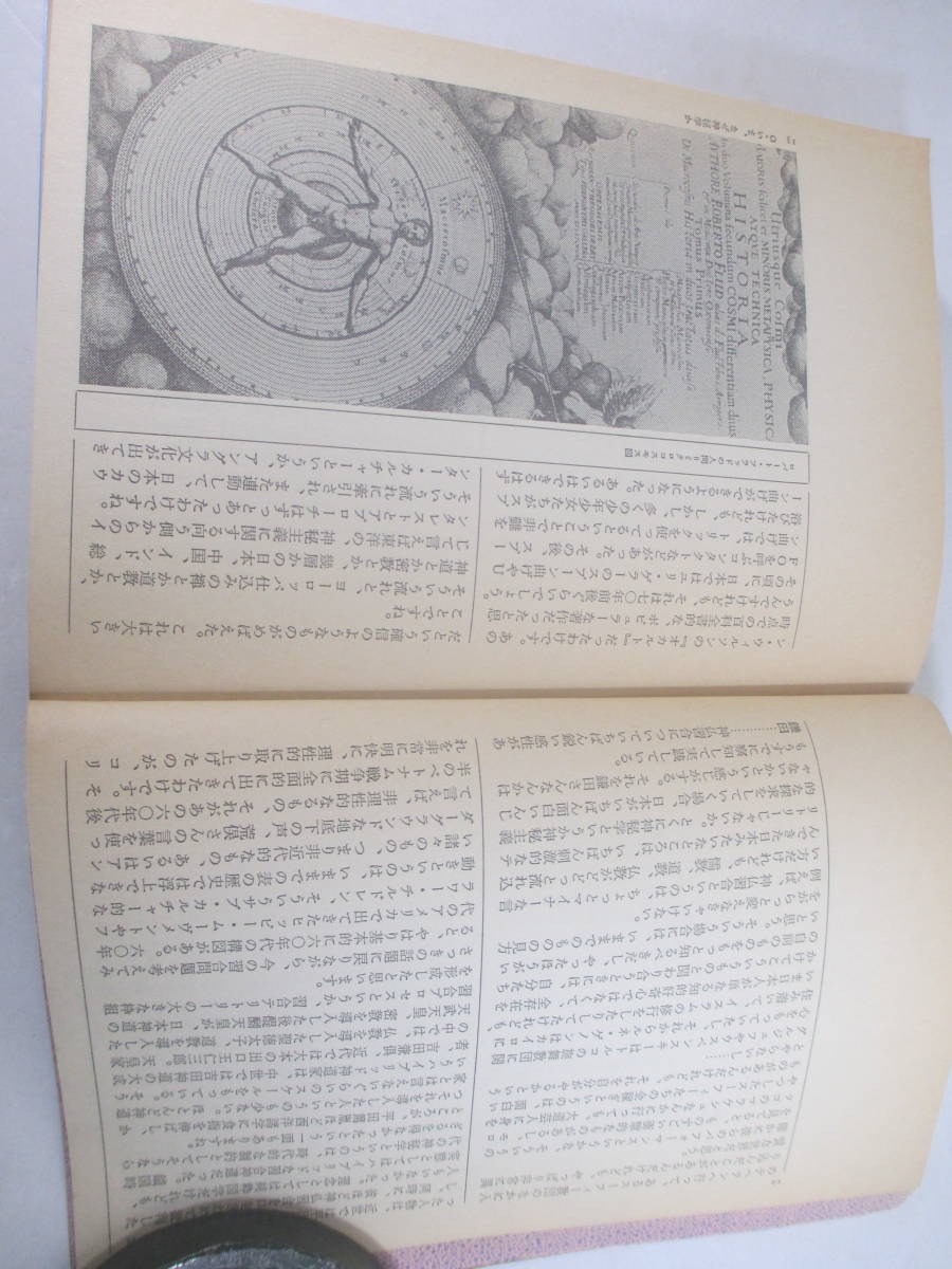 神秘学カタログ　別冊文藝　ー異物としての生命　東洋神秘の世界　異界としてのと　荒俣宏　鎌田東二　昭和６２年　初版　_画像3