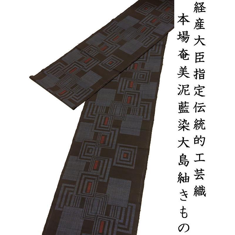 ※店舗改装・在庫一掃売り尽くし！【仕立無料】経産大臣指定伝統的工芸織本場奄美泥藍染たてよこ大島紬きもの七マルキ織（s12567）