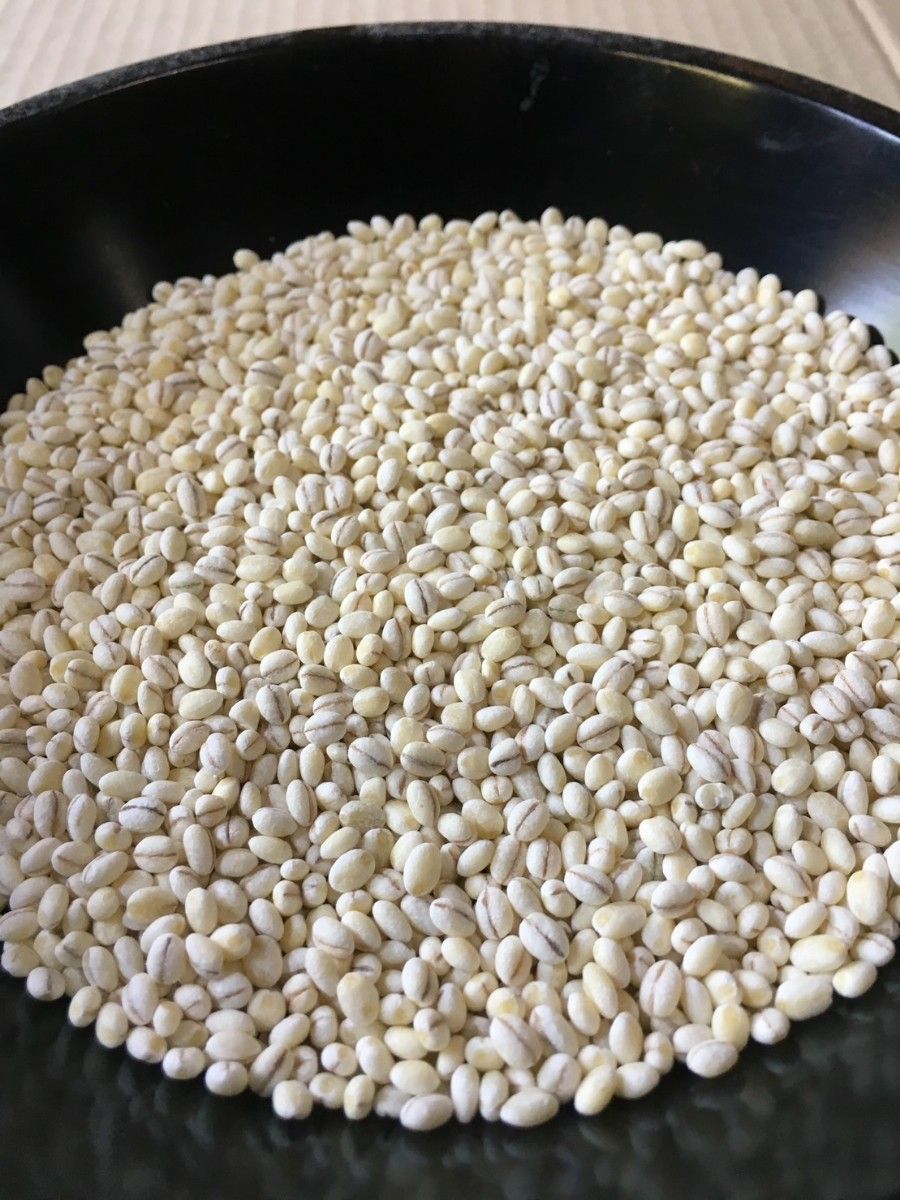 キラリモチ　もち麦　10kg 国産　大麦　健康