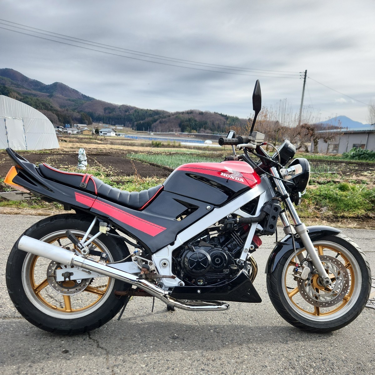 Yahoo!オークション - VTZ250 超低走行者 レストア済み 前後 Yahoo!オークション - VTZ250 超低走行者 レストア済み 前後