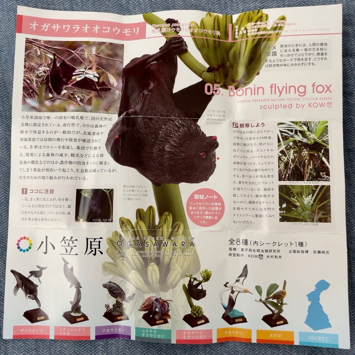 未開封】オガサワラオオコウモリ ネイチャーテクニカラー 小笠原 未開封】オガサワラオオコウモリ ネイチャーテクニカラー 小笠原