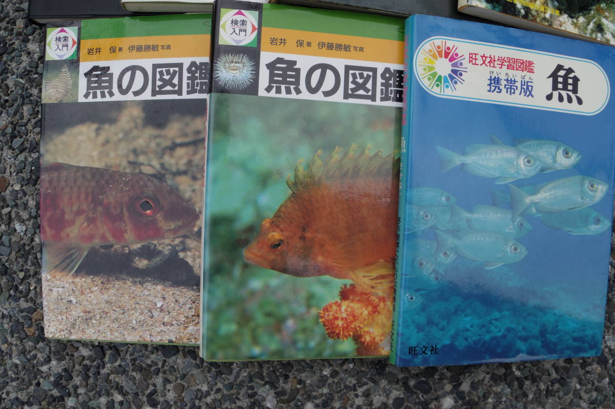ヤフオク Bj106 魚の図鑑1 7冊セット 海水魚 淡水魚 水