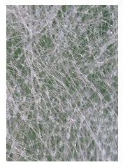 ピカイチ 農業用 不織布 1.5m×20m 農業用不織布 ロール 不織布シート 防虫シート 保温シート 農業資材_画像2