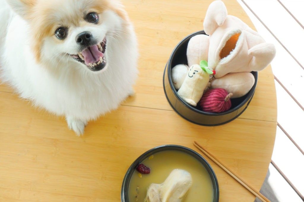 265 参鶏湯 犬 ペット用 おもちゃ ノーズワーク ペット知育玩具 ペット用品